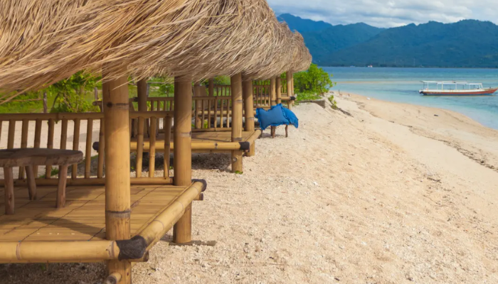 Bamboo Constructions